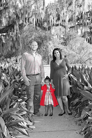 Mott Family